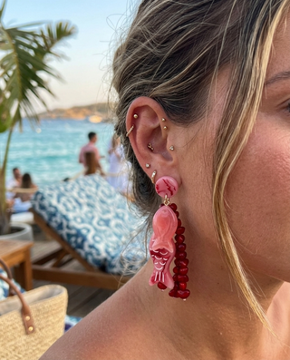 Tropica Earrings 'Pink & Red'